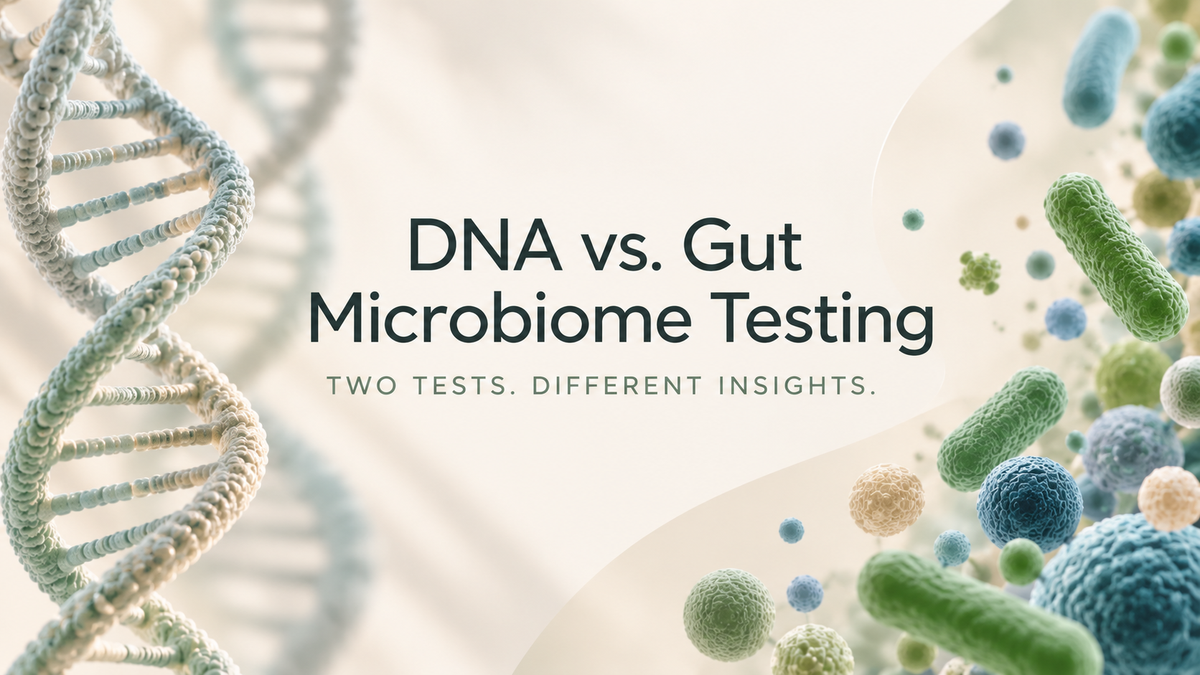 Microbiote intestinal vs test ADN : les principales différences ...