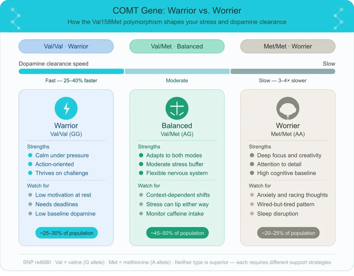 Imported WordPress image