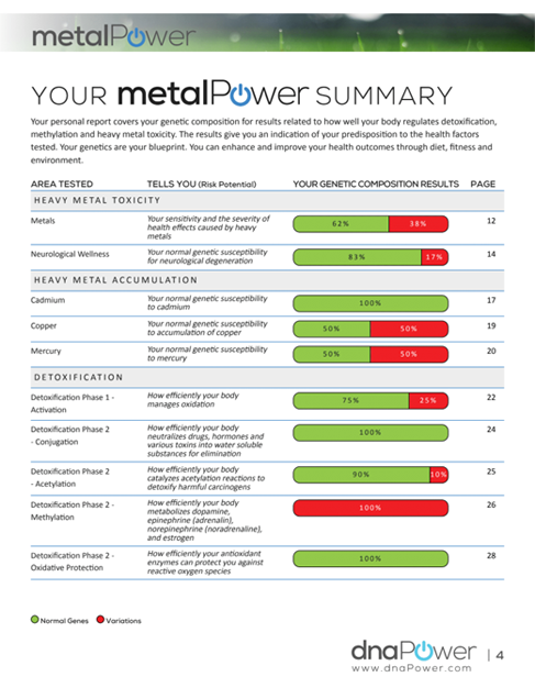 Prepaid metalPower Kits